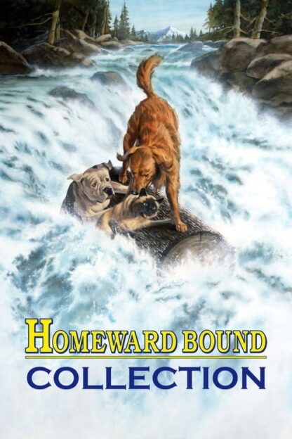 Homeward Bound: The Incredible Journey (1993) starring Michael J. Fox on DVD on DVD